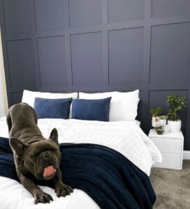 Blue custom shaker wall panelling